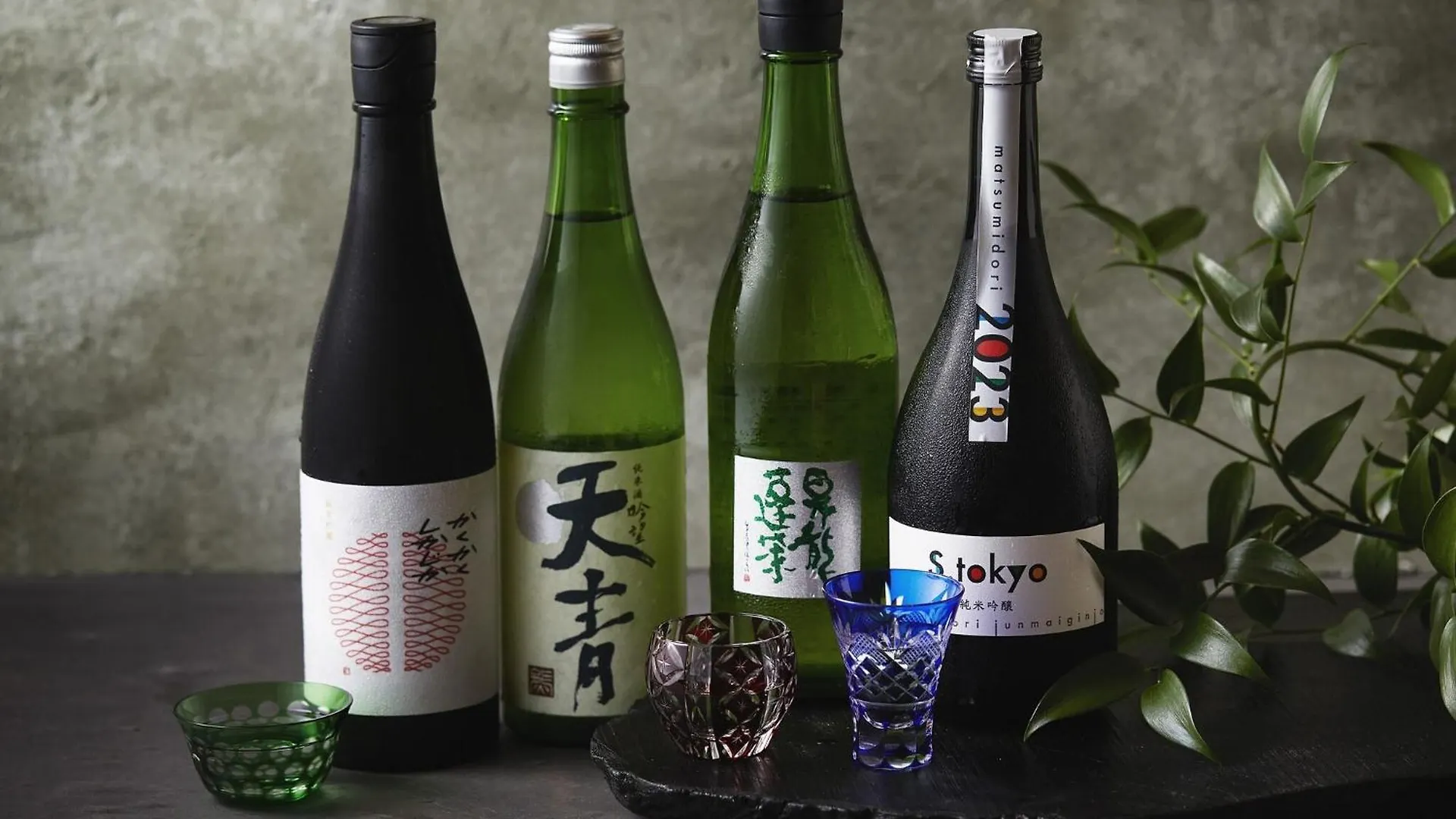 Ryokan Hakone Retreat Villa 1/F (Adults Only)